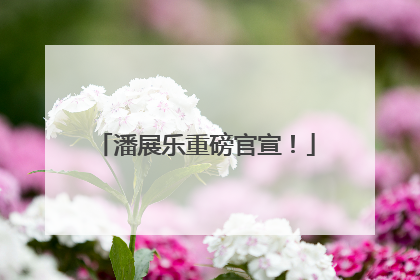 潘展乐重磅官宣！